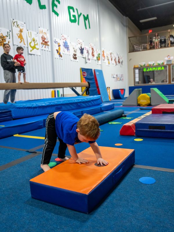 TEK whole jungle gym room picture (600x800)